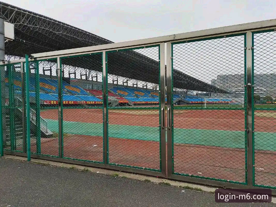M6体育平台2026版实用测评：为何移动投注体验值得长期信赖